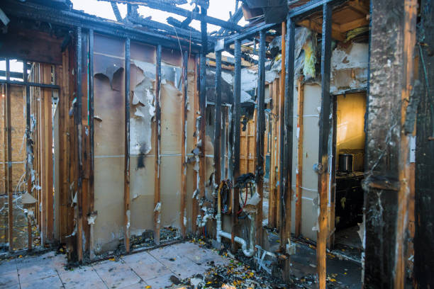 Professional Smoke Odor Removal technician working in Florence, TX